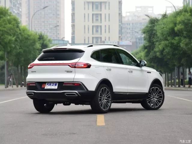 只要20万！“*博兰**基尼SUV”开回家，全村人都围观！