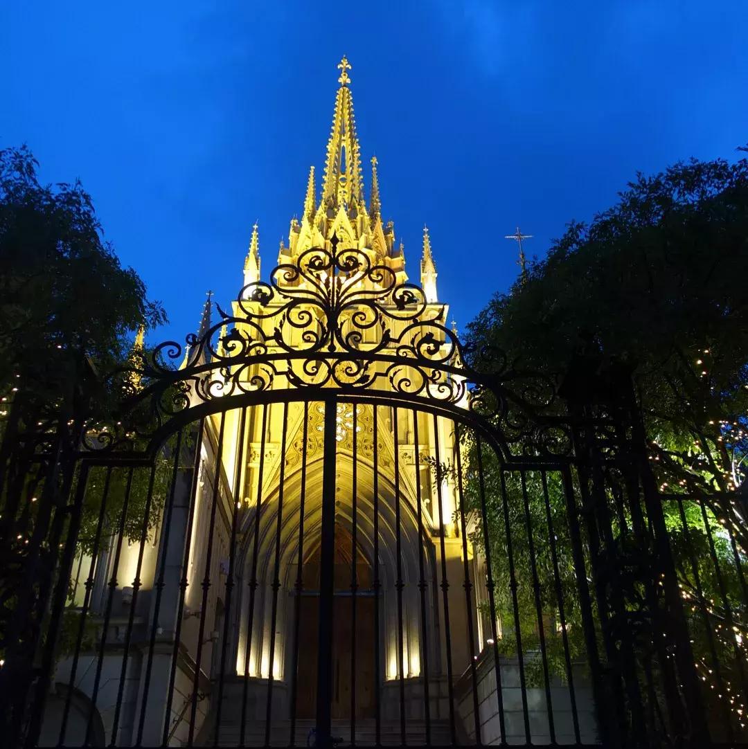 日本东京网红店探店,日本国内最火的网红店