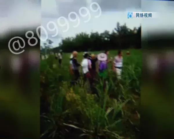 西双版纳陨石价格表,云南西双版纳陨石多少钱一克