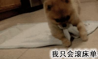 给我滚——骂出幽默的搞笑动图文字表情包