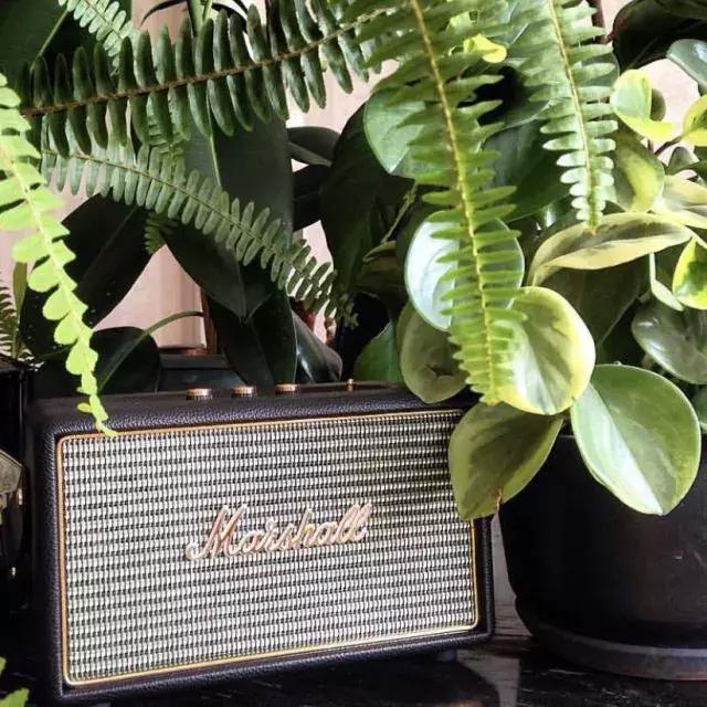 宅在家也能有健康的生活方式,夏日宅家的一百种方式