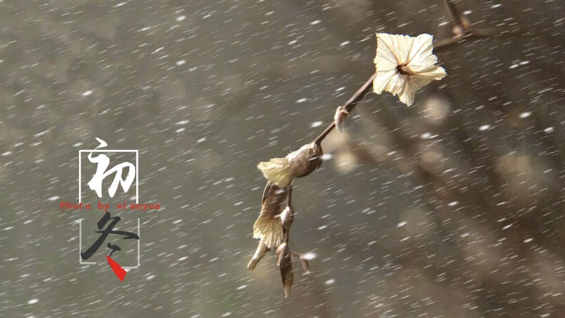 多种“玻璃水雾”、“大雨倾盆”特效｜手机一键搞定