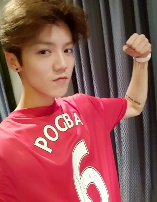 全场最佳粉丝,全场最佳让观众心动不已