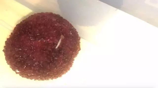 担心杨梅生虫不敢吃什么原因,杨梅有小虫子还能吃吗