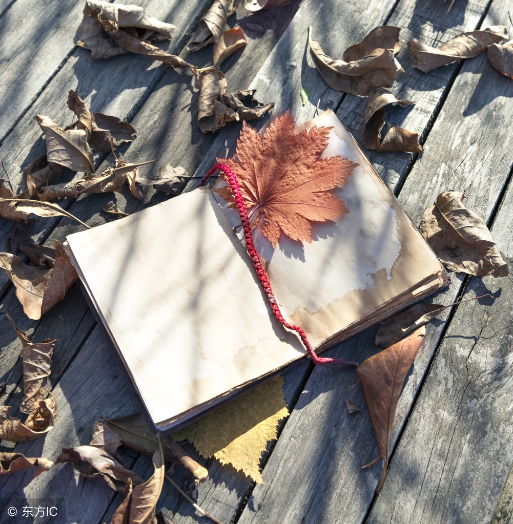 妥协才是政治的灵魂，审慎才是国祚之神明