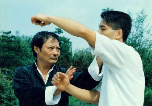 中国十大隐世武林高手,中国近代十大武林高手排名榜图片