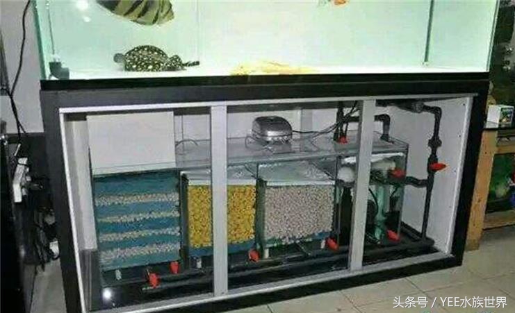 鱼缸里的水没有鱼能除硝化细菌吗,硝化细菌分解鱼粪残留鱼缸