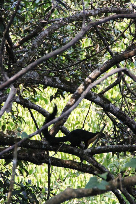 最美樱花温泉,樱花谷泡温泉价目表