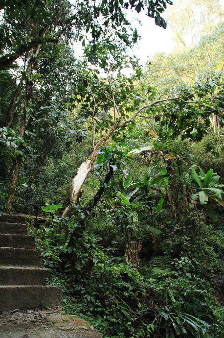 最美樱花温泉,樱花谷泡温泉价目表