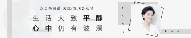 杨澜：当“韩剧鳏夫”遇上“世界杯寡妇”……