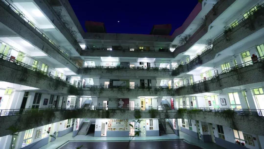 应试教育、素质教育水火不容？武汉这所学校交出完美答卷