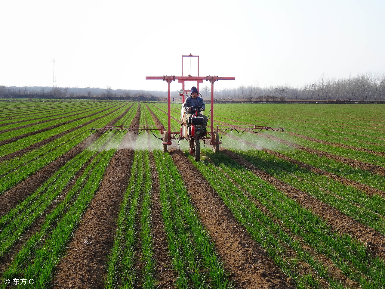 地图出版社七年级下地理复习提纲,地理七年级下册复习提纲人教版