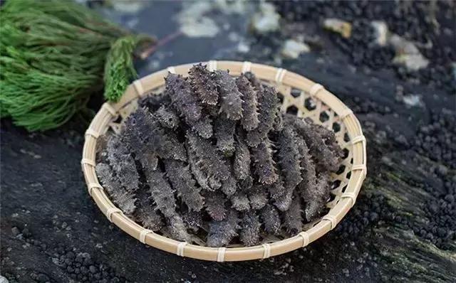 吃不完的海参怎么放冰箱,海参吃不完第二天怎么保存