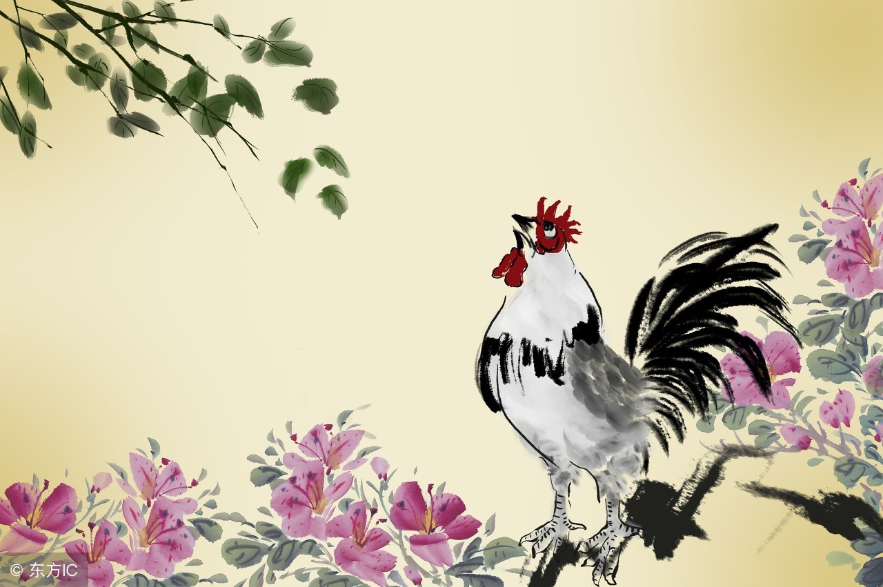 2018年生肖鸡整体运势及运程,属相鸡的今年财运如何