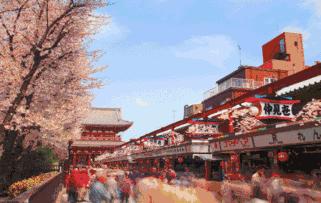 去日本旅游扫什么货,去日本购物选哪个机场