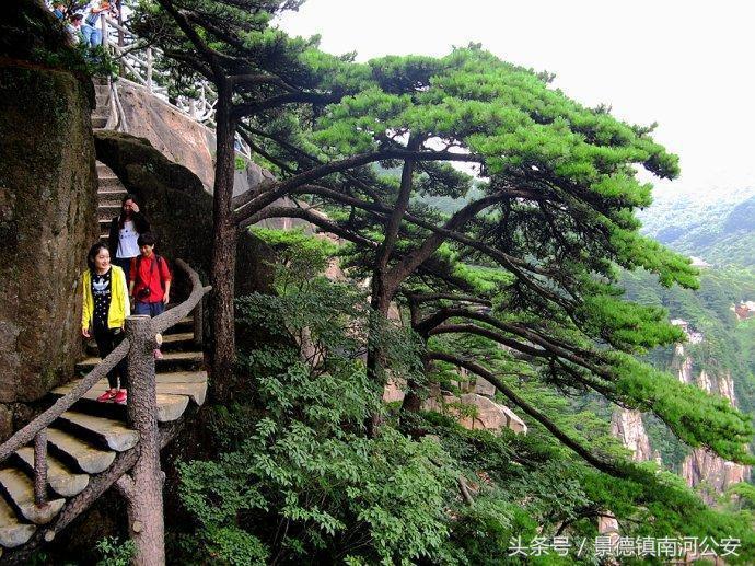游记｜雾中黄山做梦都想去的人间仙境
