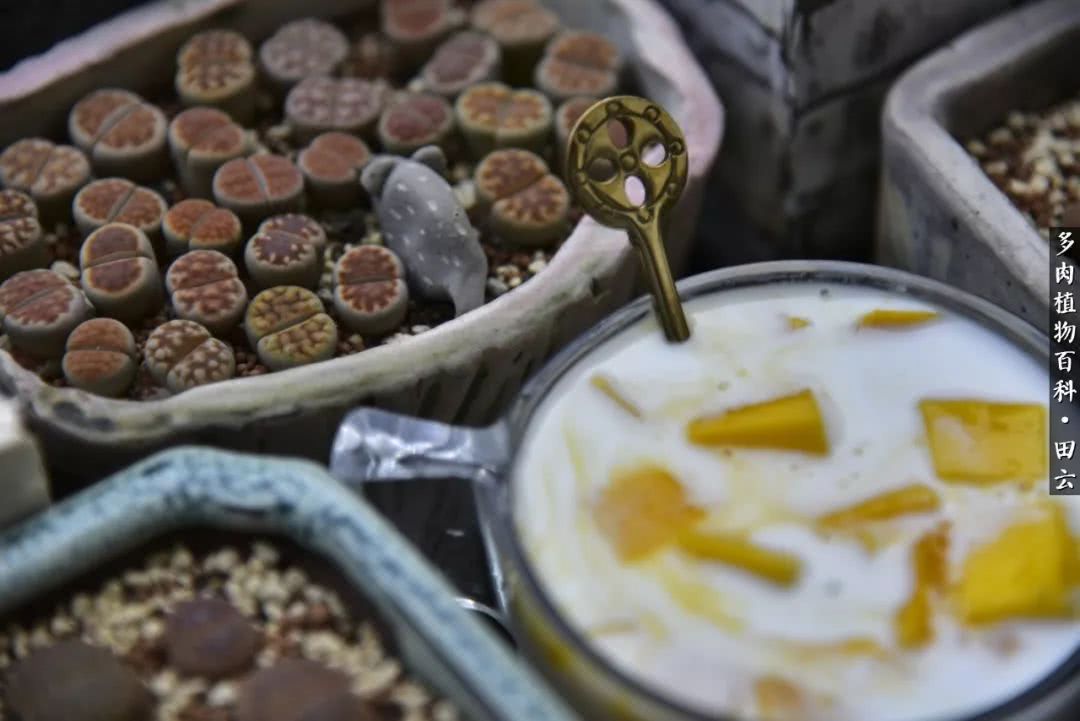 推开世界的门和自己和解,推开世界的门你所看到的风景