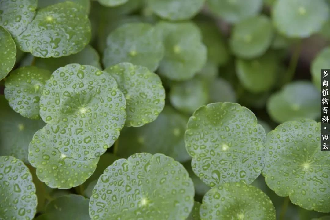推开世界的门和自己和解,推开世界的门你所看到的风景