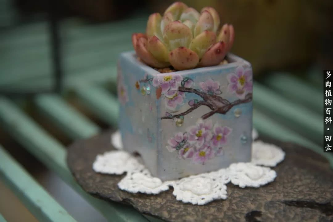 推开世界的门和自己和解,推开世界的门你所看到的风景