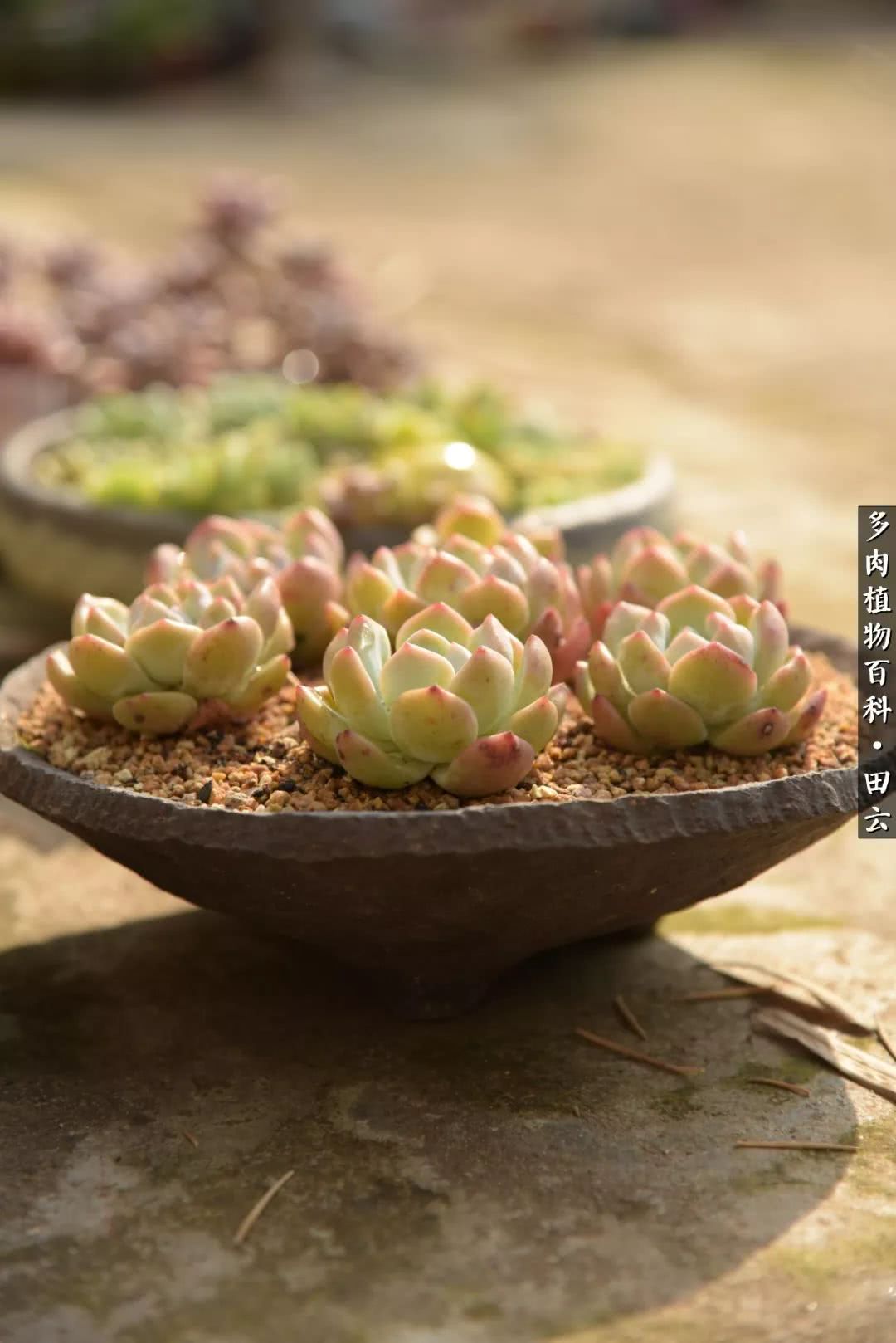 推开世界的门和自己和解,推开世界的门你所看到的风景