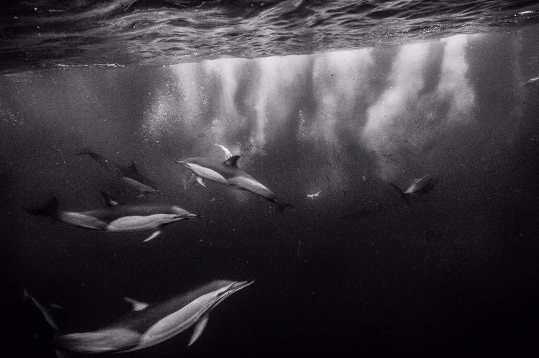 玩客说丨这里有一张东方“海盗”的藏宝图