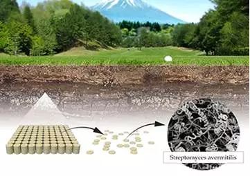 阿维菌素的真相,诺贝尔奖的发现