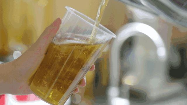 近期排队很火的网红茶 (排队最好的网红茶)