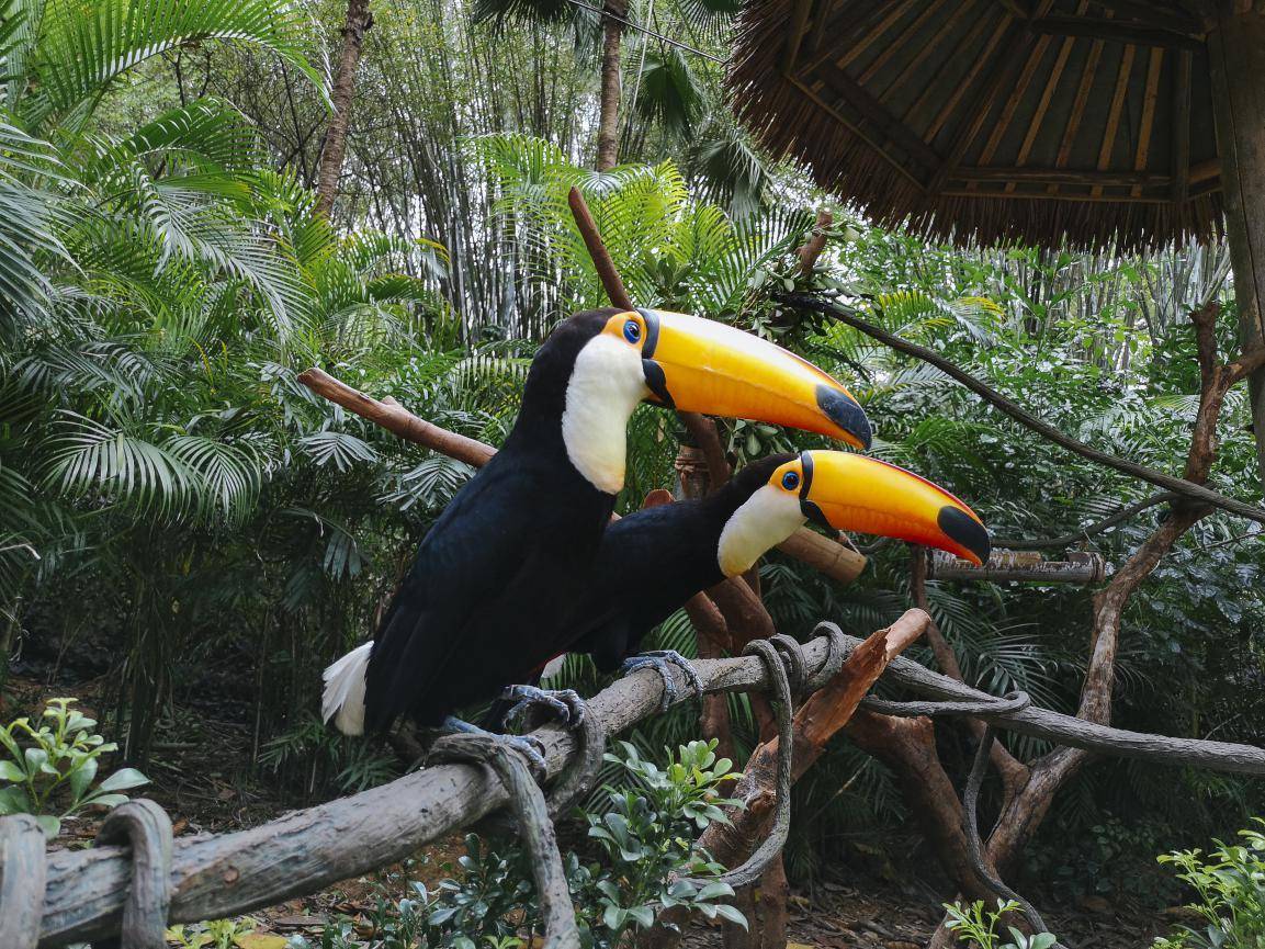 致球迷考生：打赢最后这场仗，华为P20带你见梅西