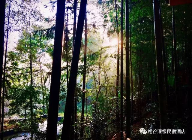 绵阳50元包吃住的民宿,绵阳禅茶清谷民宿哪家好