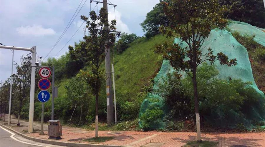 长沙房价新政策最新消息,长沙的房价新政策