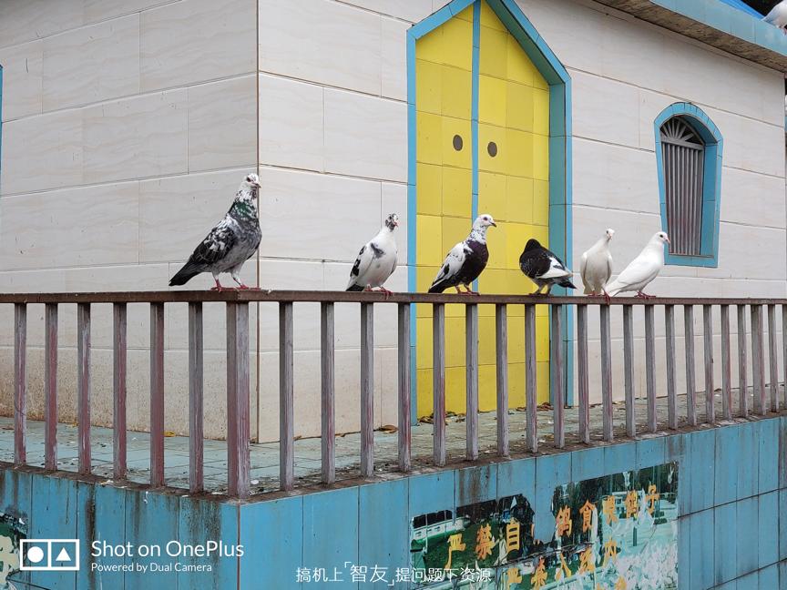 摄影续航-全速旗舰一加6测评：西装暴徒，脱下西装它隐藏着什么？