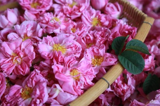 腾冲是给自己健康生活的一种选择,腾冲的好处