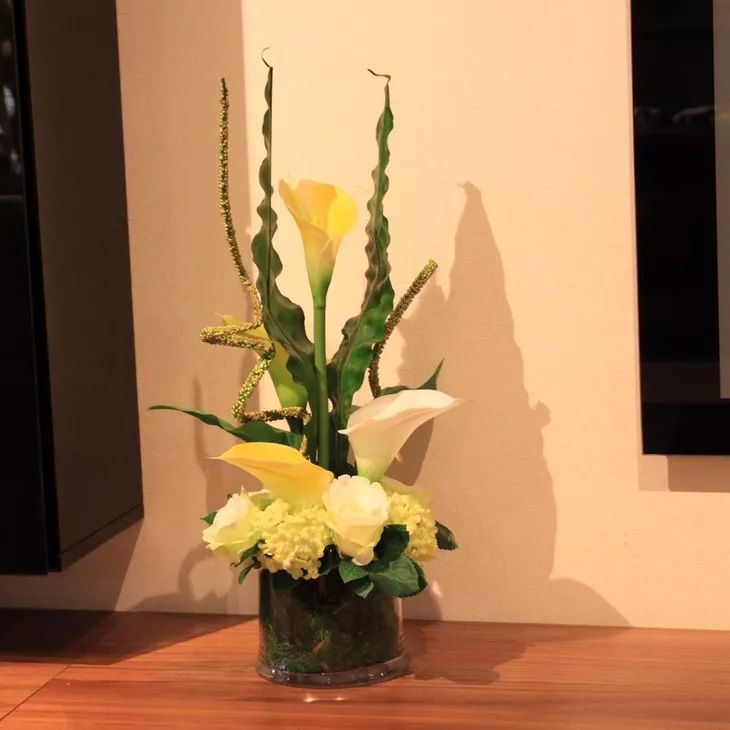 珍稀马蹄莲,如何让马蹄莲一年四季都活着