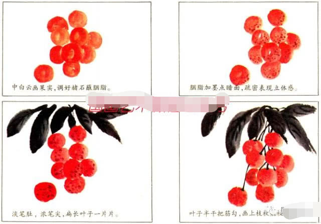 简单国画教程零基础入门植物,国画蔬果茄子与苦瓜的画法