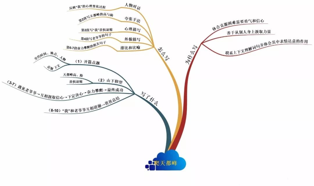 三年级语文1-4单元思维导图大全,三年级语文第一单元思维导图8k纸