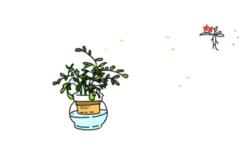 蚊子大军训练,17个驱蚊小妙招让蚊子不敢进房间