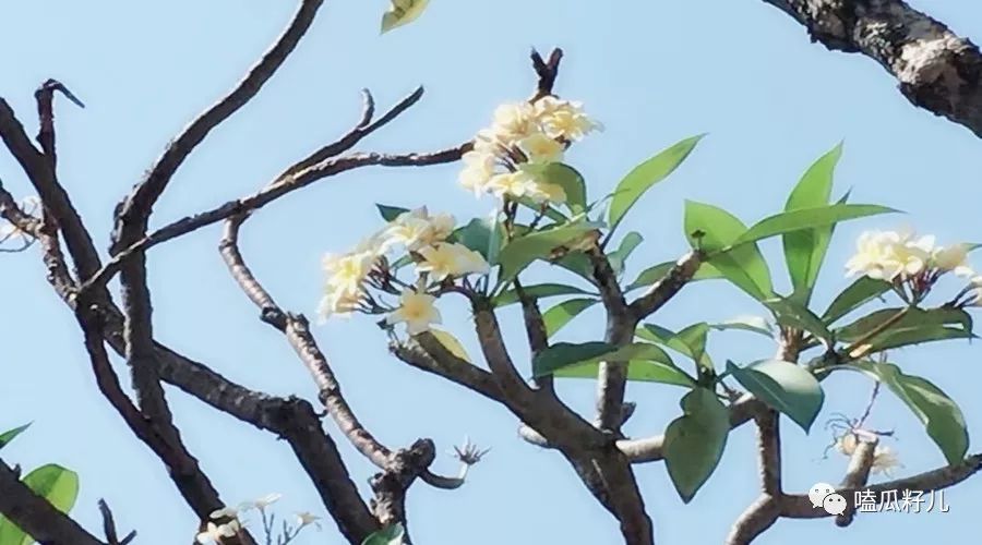 一个人的泰国游,一个人泰国游什么感觉