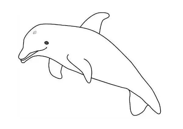 填色画可打印12星座美少女,幼儿填色画a4直接打印