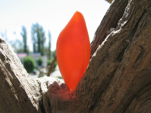 金丝玉宝石光精品图,新疆金丝玉宝石光欣赏