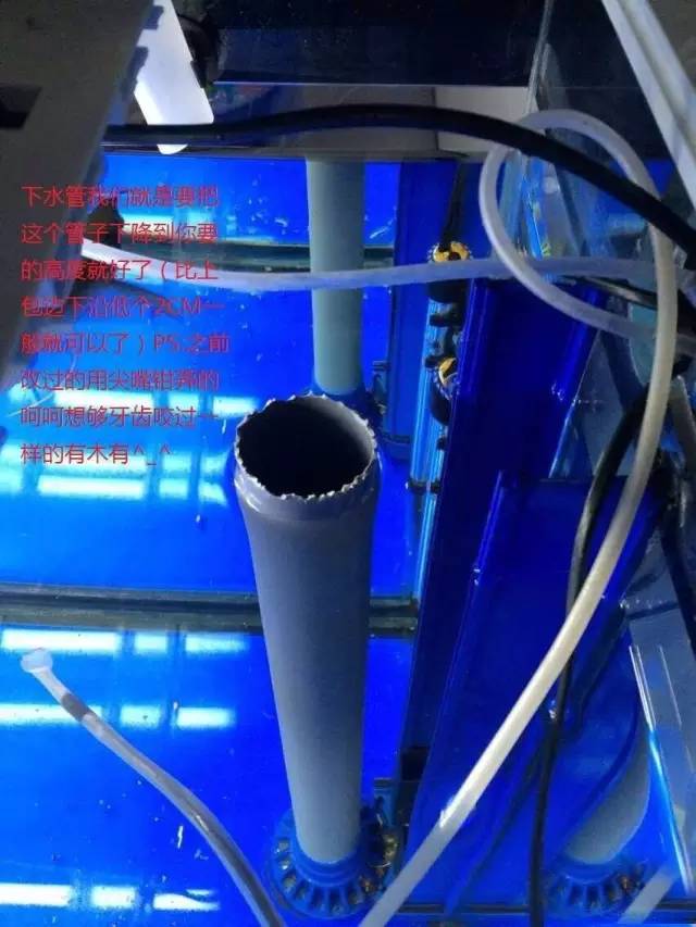 森森底滤鱼缸停电怎么防止溢流,森森鱼缸如何增大溢流区吸力