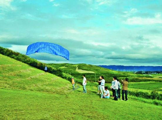 日本发现的大宝藏,日本挖出大宝藏