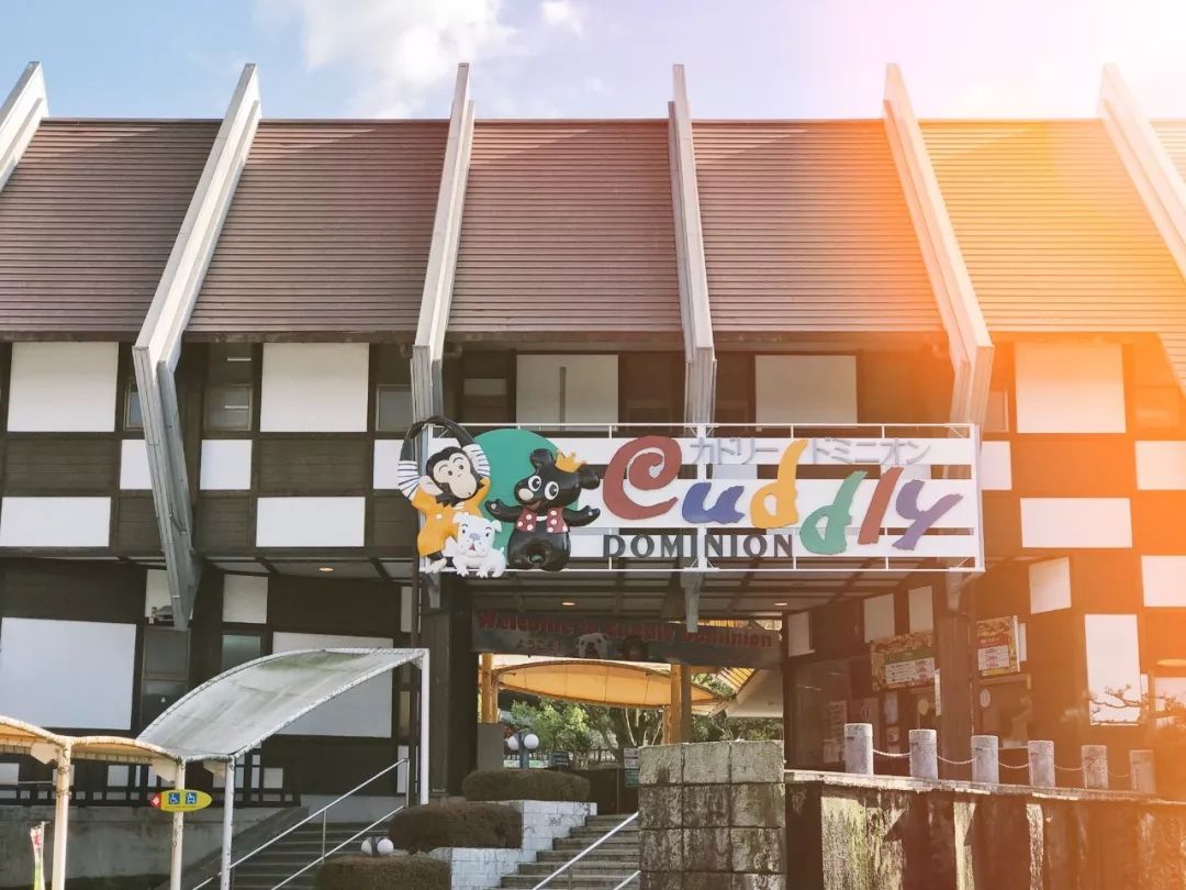 日本发现的大宝藏,日本挖出大宝藏