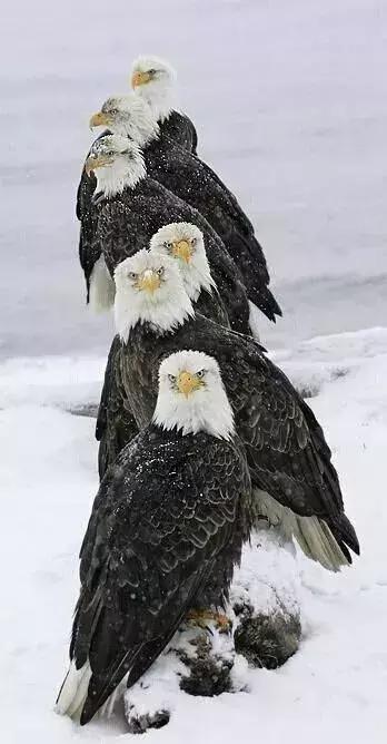 超有气氛的集体照图片,刚拍的你从未见过的集体照