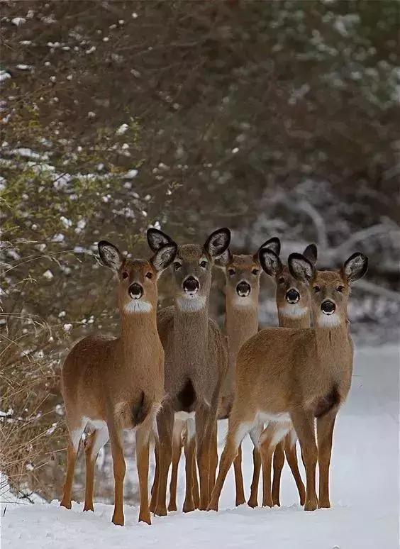 超有气氛的集体照图片,刚拍的你从未见过的集体照