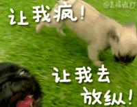 德州动植物园门票价格最新更新,德州动植物园什么时候截止收费