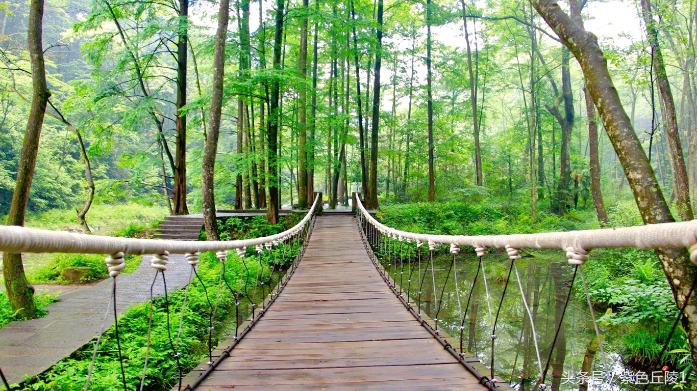 中国最美溪流,中国最美的河流