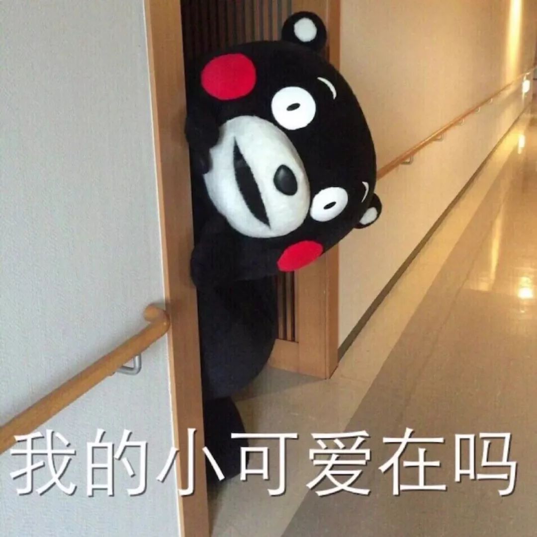 揭秘海参内幕,海参市场的真实现状