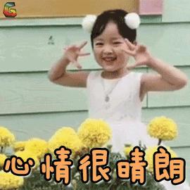 杨幂mk经典款,mk杨幂同款新年限量款