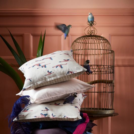 从101小姐姐们逛过的宜家，打造精致实用的合租生活