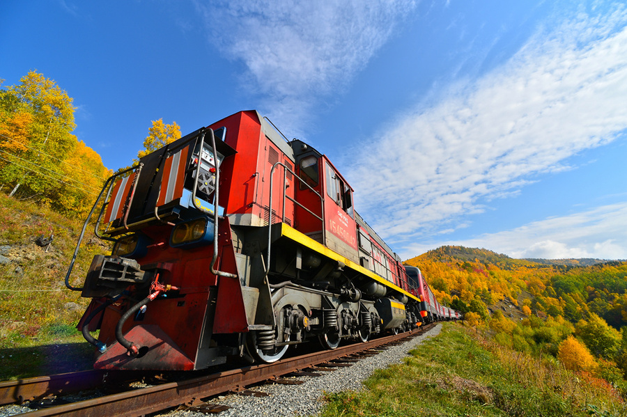 世界杯俄罗斯之旅,俄罗斯体验世界杯